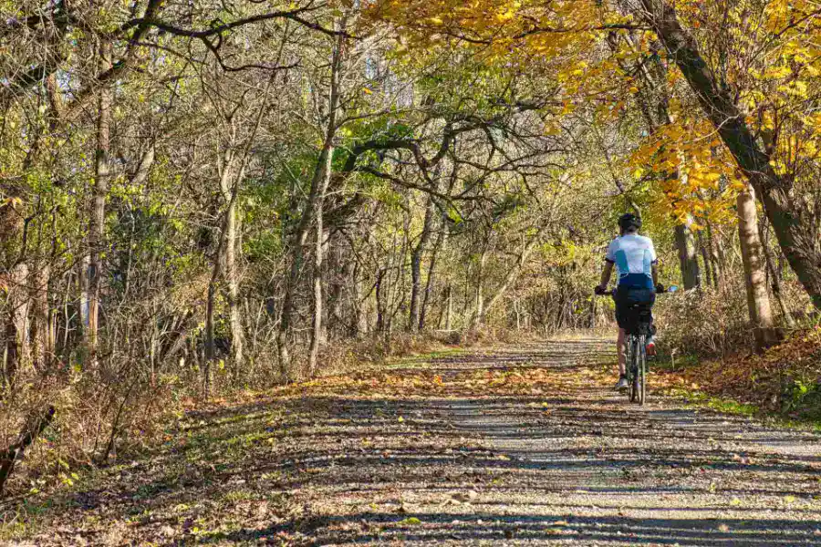 Radfahrer auf Waldweg bei Eco Lodges, Naturerlebnis in Deutschland.